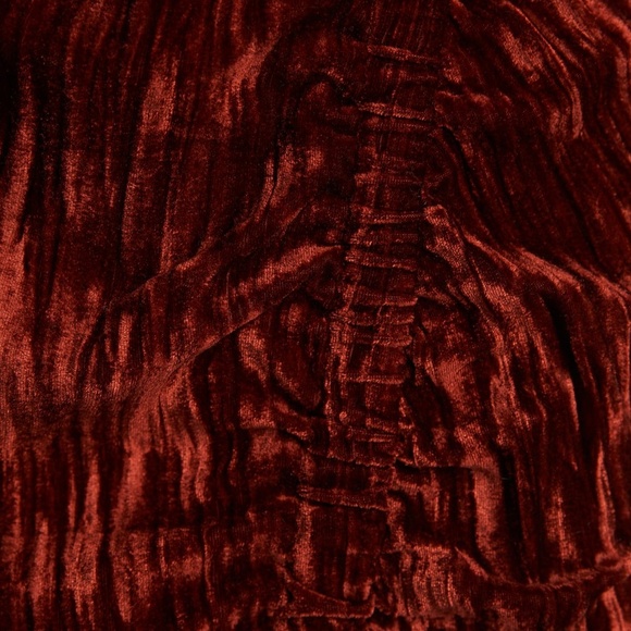 Zara Velvet Skirt in maroon wine - Picture 7 of 7